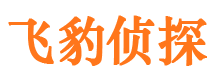 剑河外遇调查取证